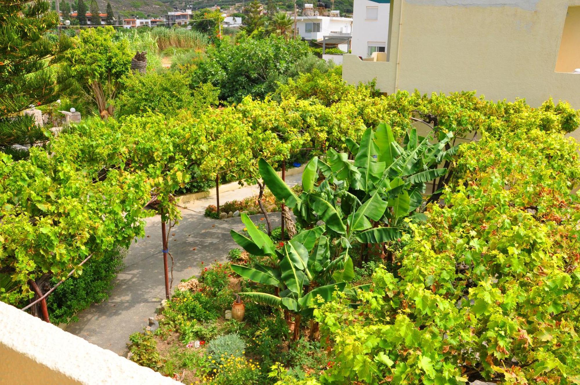 Dimitra Apartments Sitia  Esterno foto